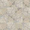 Msi Silver SAMPLE Tumbled Travertine Paver Tile ZOR-LSC-0061-SAM